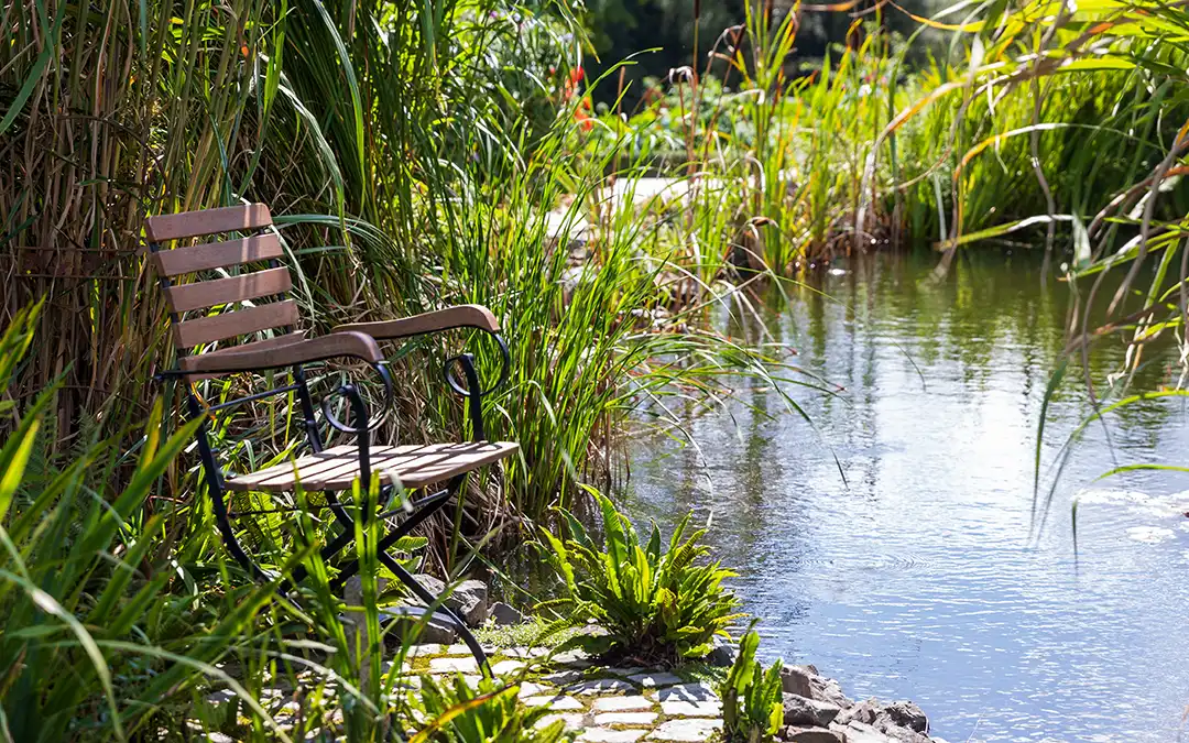 Beitragsbild zu Knipsen oder Fotografieren – Der Fotoworkshop