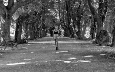 Magische Herbstmomente: On-Location-Workshop mit TotalBlue im Rombergpark