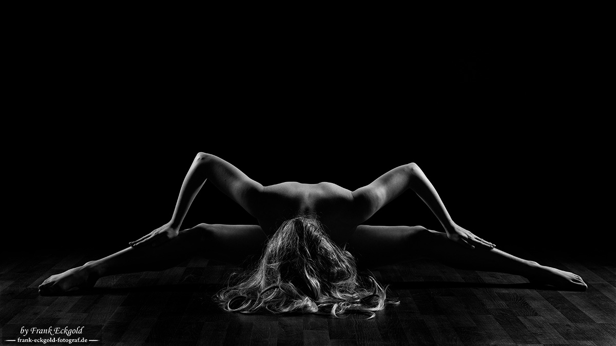 „Wings of Silence“| catbardot by Frank Eckgold