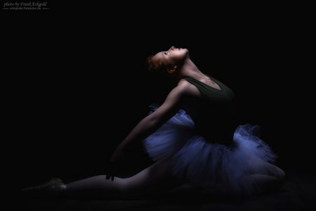 „swan searching for light” | Model Yvette by Frank Eckgold