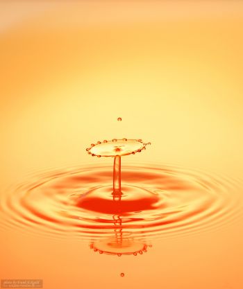 Wassertropfen mit Highspeed-Fotografie 6