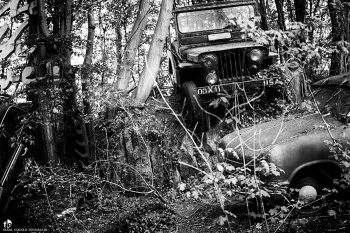 Auto-Skulpturen-Park by Frank Eckgold