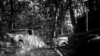 Auto-Skulpturen-Park by Frank Eckgold
