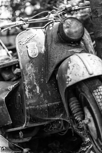 Auto-Skulpturen-Park by Frank Eckgold Auto-Skulpturen-Park by Frank Eckgold