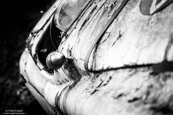 „Ein Jaguar XK 120” by Frank Eckgold „Ein Jaguar XK 120” by Frank Eckgold