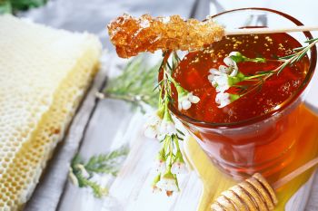 „Bienenhonig” by Frank Eckgold „Bienenhonig” by Frank Eckgold