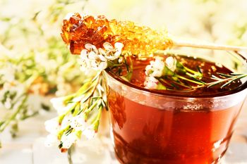 „Kandiszucker & Bienenhonig” by Frank Eckgold „Kandiszucker & Bienenhonig” by Frank Eckgold