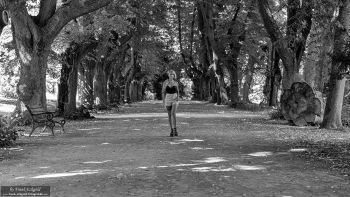 „walk your path” | TotalBlue by Frank Eckgold „walk your path” | TotalBlue by Frank Eckgold