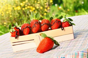 „strawberrys” by Frank Eckgold „strawberrys” by Frank Eckgold