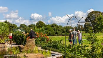 „Behind the scenes” by Frank Eckgold „Behind the scenes” by Frank Eckgold