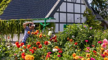 „Behind the scenes” by Frank Eckgold „Behind the scenes” by Frank Eckgold