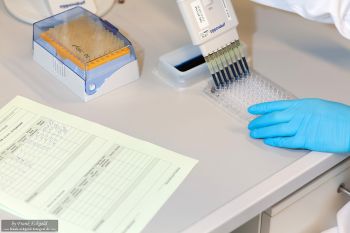 Aufnahmen aus einem Labor by Frank Eckgold Aufnahmen aus einem Labor by Frank Eckgold