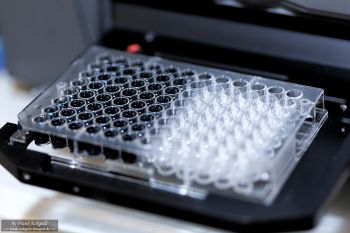 Aufnahmen aus einem Labor by Frank Eckgold Aufnahmen aus einem Labor by Frank Eckgold