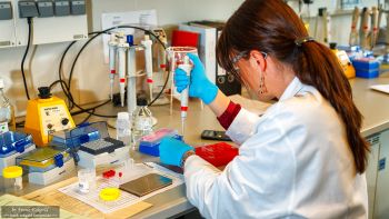 Aufnahmen aus einem Labor by Frank Eckgold Aufnahmen aus einem Labor by Frank Eckgold