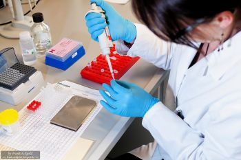 Aufnahmen aus einem Labor by Frank Eckgold Aufnahmen aus einem Labor by Frank Eckgold