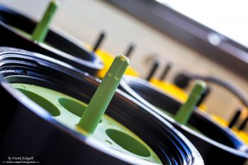 Aufnahmen aus einem Labor by Frank Eckgold Aufnahmen aus einem Labor by Frank Eckgold