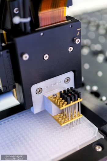 Aufnahmen aus einem Labor by Frank Eckgold Aufnahmen aus einem Labor by Frank Eckgold