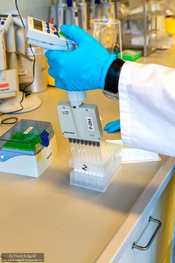 Aufnahmen aus einem Labor by Frank Eckgold Aufnahmen aus einem Labor by Frank Eckgold