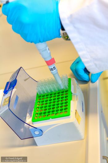 Aufnahmen aus einem Labor by Frank Eckgold Aufnahmen aus einem Labor by Frank Eckgold