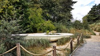 Rombergpark by Frank Eckgold Rombergpark by Frank Eckgold