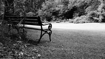 Rombergpark by Frank Eckgold Rombergpark by Frank Eckgold