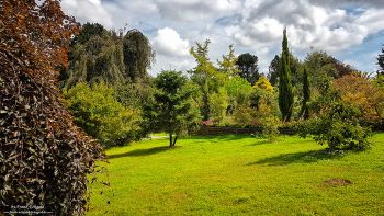 Rombergpark by Frank Eckgold Rombergpark by Frank Eckgold