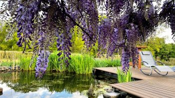 Location and SET | Gut Langenbach Location and SET | Gut Langenbach