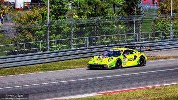 „Grello“ by Frank Eckgold „Grello“ by Frank Eckgold