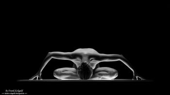 "The Language of Light" | cat_en_flow by Frank Eckgold "The Language of Light" | cat_en_flow by Frank Eckgold