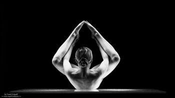 "The Shape of Stillness" | cat_en_flow by Frank Eckgold "The Shape of Stillness" | cat_en_flow by Frank Eckgold