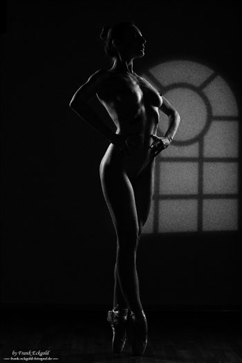 "Silent Poise" "Silent Poise"