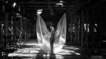 "Wings Against the Ruins" | TotalBlue by Frank Eckgold