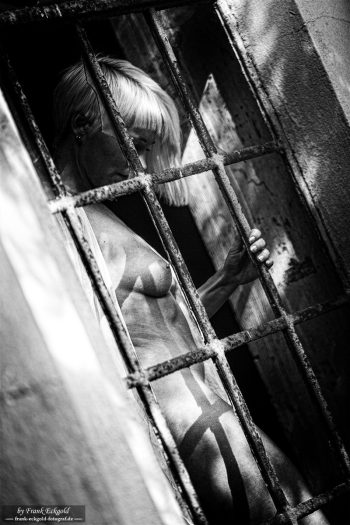 "Behind the Lines" | TotalBlue by Frank Eckgold "Behind the Lines" | TotalBlue by Frank Eckgold