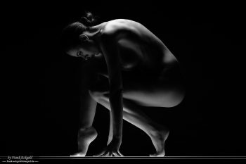 "Geometry of Skin" | Nikolart by Frank Eckgold